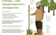 КАК ПРЕДОТВРАТИТЬ НАПАДЕНИЕ.png